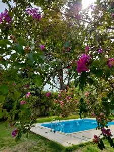 Villa indépendante avec piscine au rdc - Nyons