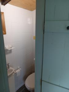 Little Green Carraige