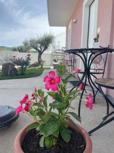 Home Fiori d’Angelo