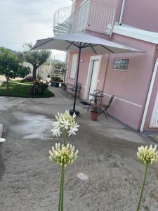 Home Fiori d’Angelo