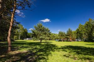Camping Skansen Zdbice