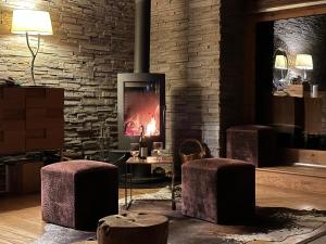 Appartements Chalet Violettes : photos des chambres