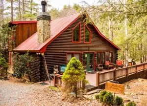Reel Medicine Cabin with Creekside Views in Blue Ridge, GA - Cherry Log