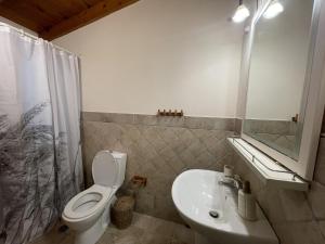 The little house in the forest