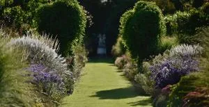 Domaine Albizia - Cormolain