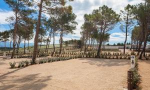 Aminess Style Camping Avalona Pitches