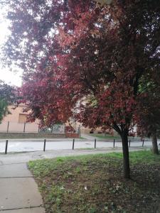 Etno-urban stan na dan