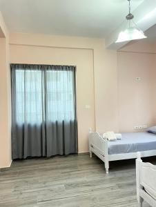 Apartment in Shkodra