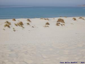 Casa delle rondini img33