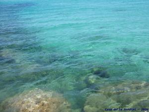 Casa delle rondini img30