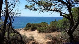 Casa delle rondini img38