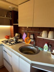 Dviejų kambarių apartamentai Nidoje