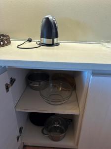 Dviejų kambarių apartamentai Nidoje