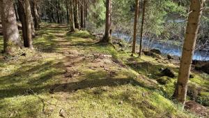 Ferienwohnung Bergmann