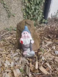 Pension zum Hollerbusch - Zweifelscheid