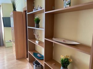 Apartmány 2kk u Fakultní nemocnice Volné parkovaní