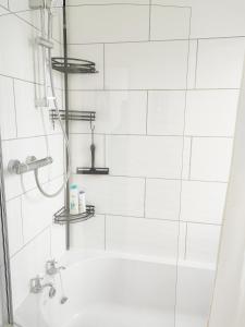 Lovely one-bed flat near University of Aberdeen