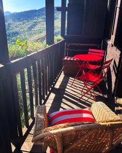 Ninette, intimità e natura