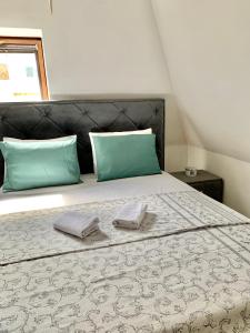 Stan u strogom centru grada