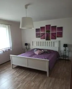 Apartament nad Jeziorem Kamień - Barwik
