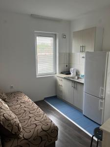 One-Bedroom Apartment room in Prenociste H2O