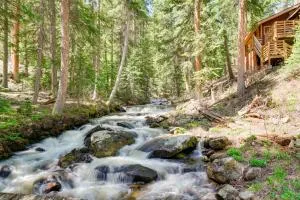 Riverside Colorado Cabin with Deck and Hot Tub - 乔治城
