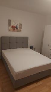 Apartman Sneky 