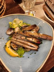 Appartements Studio cosy proche plage et centre ville : photos des chambres