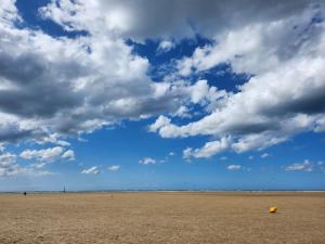 Appartements Studio cosy proche plage et centre ville : photos des chambres