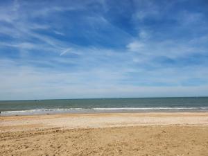 Appartements Studio cosy proche plage et centre ville : photos des chambres