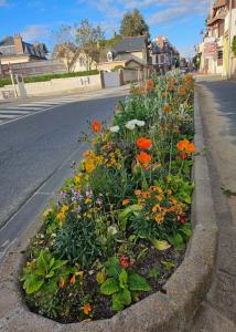 Appartements Studio cosy proche plage et centre ville : photos des chambres
