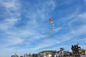 Appartements Studio cosy proche plage et centre ville : photos des chambres