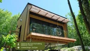 Cabin Zoobox 73 - Лак-Бром