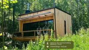 Cabin Zoobox 76 - Эстман