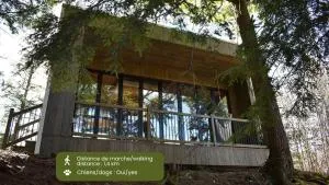 Cabin Zoobox 80 - Эстман