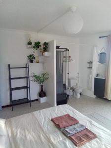 Appartements Ogooue appartement entier Lumineux 94m2 maxi 6 couchage 3 chambres : photos des chambres