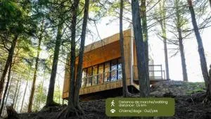 Cabin Zoobox 84 - Эстман