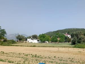 Alya Apart 1 artı 1