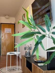 Grupo Morgado - Quinta do Morgado - Morgado Privilege