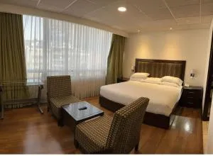 Suite Executive - 墨西哥城