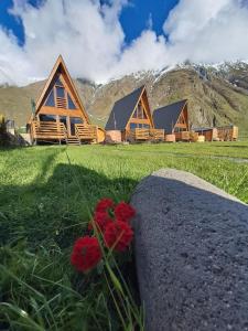 Kazbegi Spa Resort Cottages