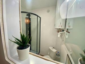 Appartements studio avec terrasse : photos des chambres