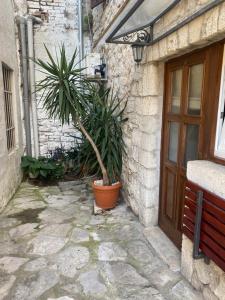 Apartment " Palmin dvor"-Jercic