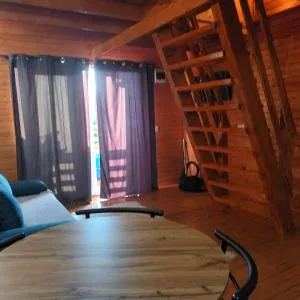 Tiny House Ocnele Mari - 伯伊莱戈沃拉