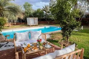 Palm satdium - Douar Khalifa Ben Mbarek