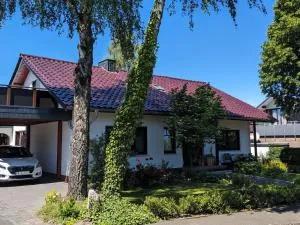 Holiday flat near the Willingen ski area - 巴特温嫩贝格