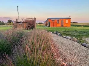 Gospodarstwo Kujawski Zakątek - Kowal