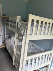 Mews House, Tewkesbury town centre, hot tub, pets