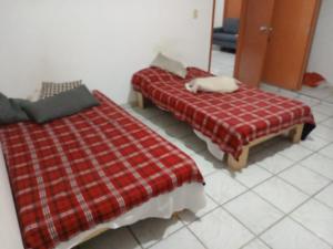 Pensión Luz Divina Provi