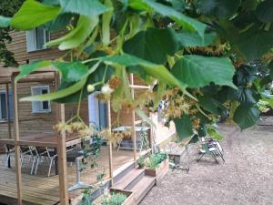 Maisons de vacances Sous les tilleuls : photos des chambres